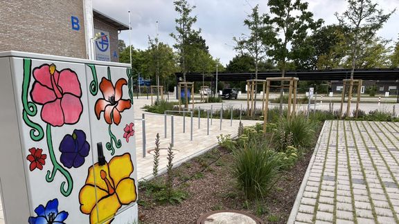 Projektwoche 2025: Viele Projekte zum Thema Biodiversität