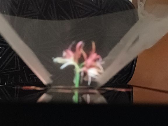 Physikkurs aus Jahrgang 12 baut eigene Hologrammprojektoren Physikkurs aus Jahrgang 12 baut eigene Hologrammprojektoren