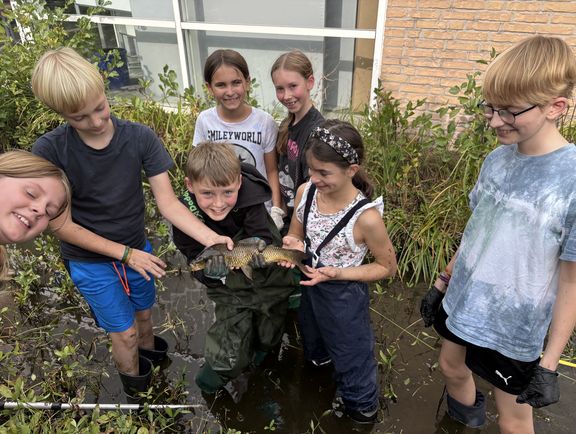 Teich-Aktion der Schulgarten-AG 2026 – Etwa 20 Fische umgesiedelt Teich-Aktion der Schulgarten-AG 2026 – Etwa 20 Fische umgesiedelt