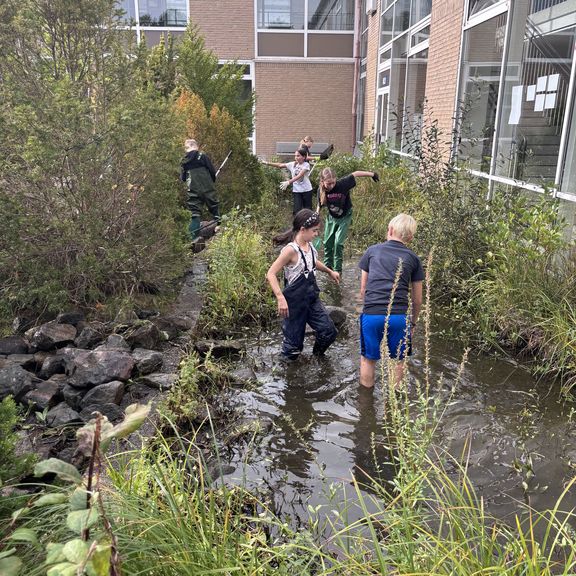 Teich-Aktion der Schulgarten-AG 2026 – Etwa 20 Fische umgesiedelt Teich-Aktion der Schulgarten-AG 2026 – Etwa 20 Fische umgesiedelt