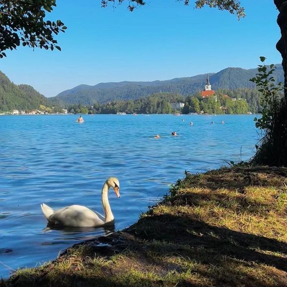 DiscoverEU 2026: Mit dem gewonnenen Interrail-Ticket durch Europa