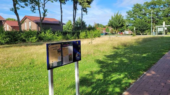 Projektwoche 2025: Viele Projekte zum Thema Biodiversität