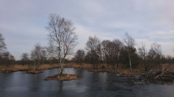 Landschaftsfotografie