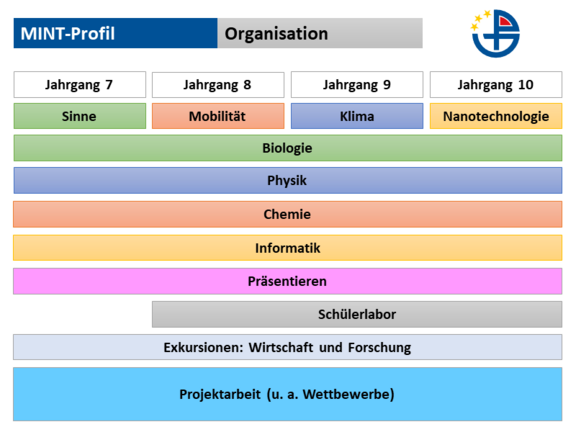 MINT-Profil: Organisation