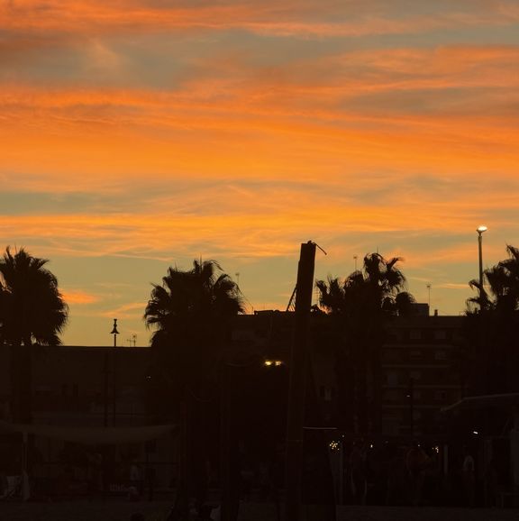 Viele Eindrücke, Erlebnisse und Erinnerungen bei Studienfahrt nach Valencia 2026 Viele Eindrücke, Erlebnisse und Erinnerungen bei Studienfahrt nach Valencia 2026